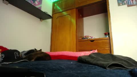 Myystiic online show from 7, 3, 2026