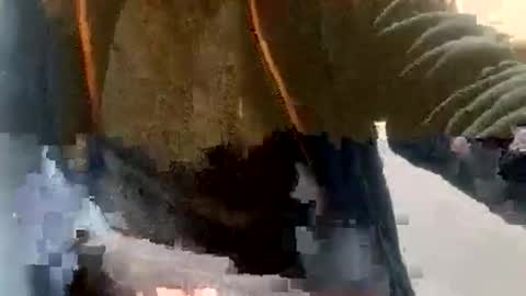 sebtin1979 online show from 23, 2, 2026