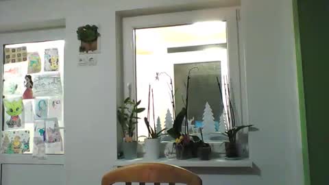 sedalingi92 online show from 3, 2, 2026