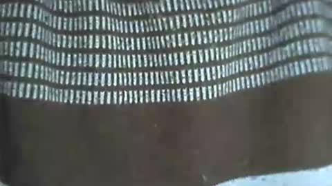 Snapshot of selim_1980 chatting on 14, 11, 2025 selim selim online show from 14, 11, 2025