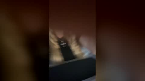 Snapshot of selviana chatting on 25, 11, 2025 Alina online show from 25, 11, 2025