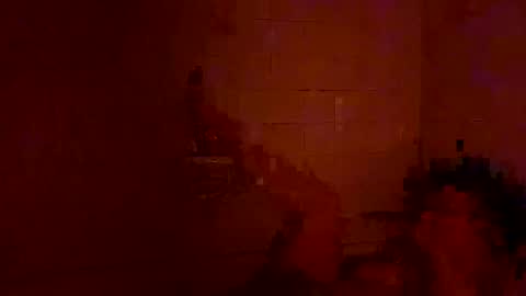 Tara online show from 25, 12, 2024