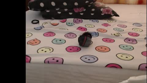 Anne online show from 25, 10, 2025