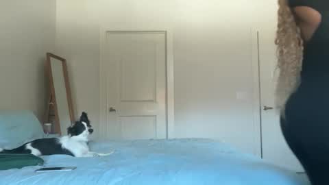 Snapshot of serenitybee chatting on 17, 11, 2025 Serenity Bee online show from 17, 11, 2025