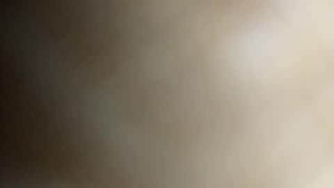 servicio8330 online show from 7, 10, 2025