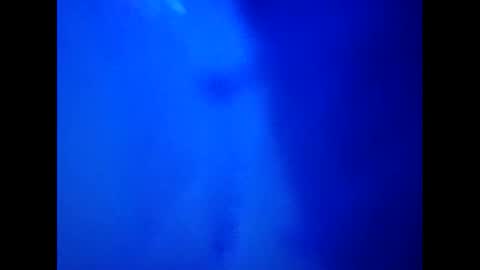 Camy Yamy online show from 26, 2, 2025