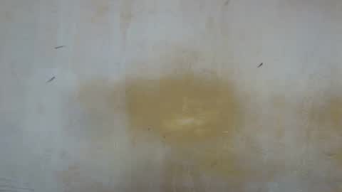 sexy_candy9 online show from 11, 11, 2025