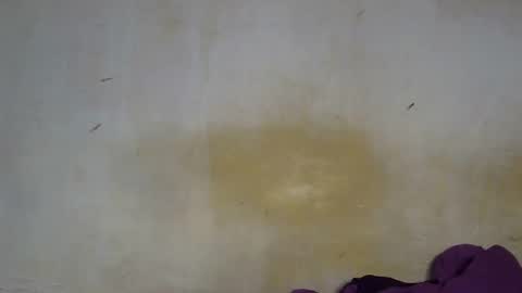 sexy_candy9 online show from 4, 12, 2025