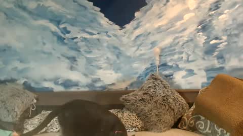 ENI pvt moan your name  WHEN I M NOT online you tell me in SNAPCHAT deal yes add me...  FREE TWITTER magiconline101...... online show from 22, 2, 2025