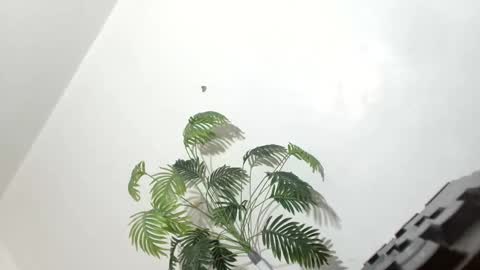 sexyhotbabe18 online show from 7, 3, 2026