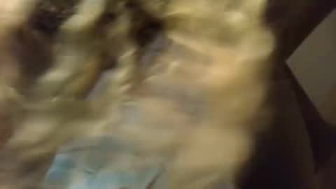 SexyKitty online show from 21, 11, 2025