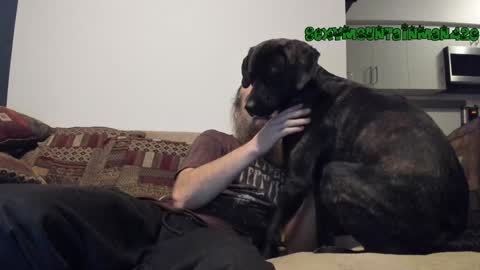 Sexymountainman420 online show from 24, 12, 2024