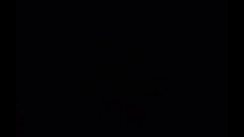 In the night in South America online show from 24, 12, 2024