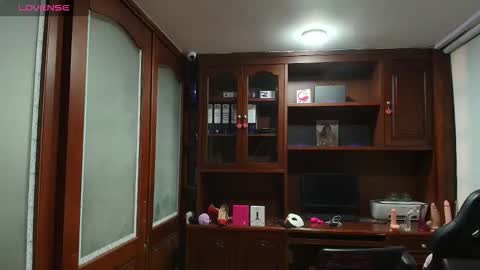 R A C H E L online show from 6, 1, 2026