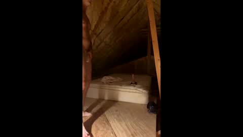 Smooth bi guy online show from 7, 3, 2026