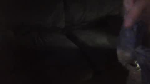 shae6969nme online show from 11, 3, 2026