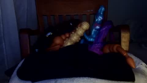 Snapshot of shakespeareisahomie chatting on 19, 2, 2026 shakespeareisahomie online show from 19, 2, 2026