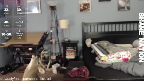 Snapshot of shanestickrod chatting on 18, 11, 2025 shanestickrod online show from 18, 11, 2025