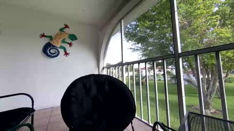 Snapshot of shannalicous chatting on 5, 1, 2025 Shannon Spears online show from 5, 1, 2025