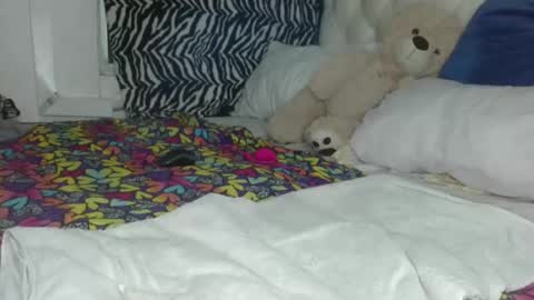 Snapshot of sharlot03 chatting on 29, 1, 2025 sharlot03 online show from 29, 1, 2025