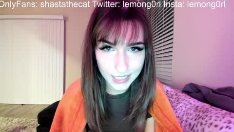 Shasta online show from 28, 12, 2024