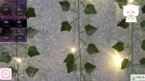 Snapshot of shawty_vi chatting on 3, 2, 2025 shawty_vi online show from 3, 2, 2025