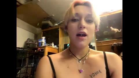 Shelby holes online show from 29, 12, 2024