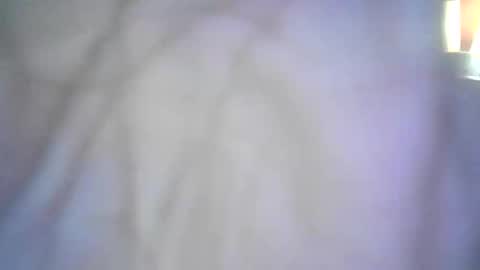 Snapshot of shellbel46290 chatting on 16, 1, 2026 shellbel46290 online show from 16, 1, 2026