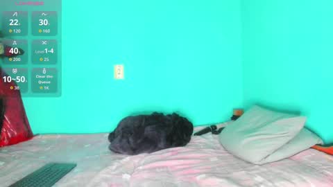 shera hade online show from 19, 11, 2025