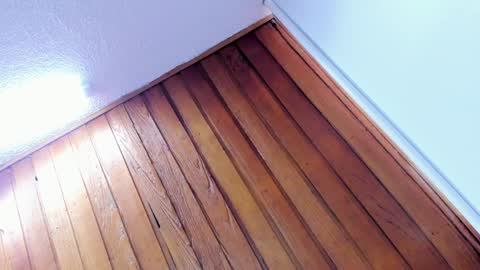 mia online show from 8, 1, 2025