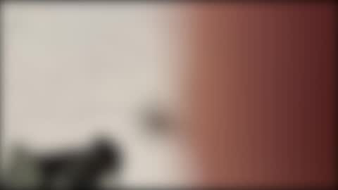 Snapshot of shifted1 chatting on 1, 1, 2025 shifted1 online show from 1, 1, 2025