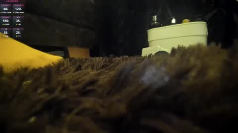 Shinigamidoll see you soon   online show from 7, 3, 2025