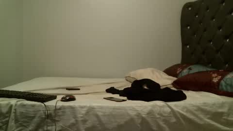 Shi-ro online show from 26, 10, 2025