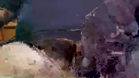 showsme online show from 17, 9, 2025