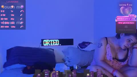 Hippie online show from 1, 4, 2026