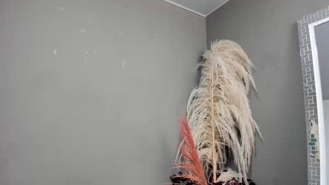 sienna_glow online show from 11, 3, 2026