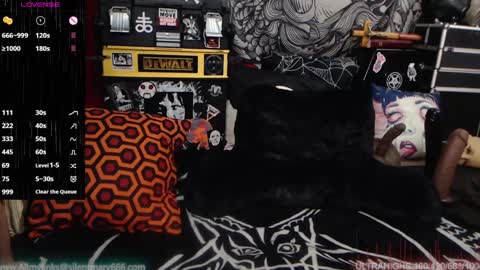 Allmylinkssilentmary666 online show from 28, 12, 2024