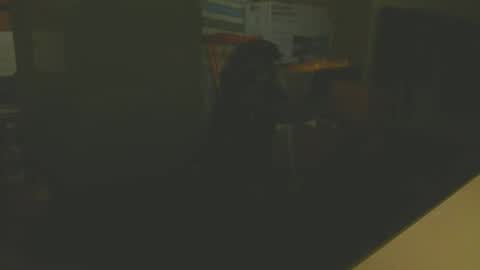 Snapshot of silvin76 chatting on 6, 1, 2025 silvin76 online show from 6, 1, 2025