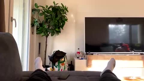 sincarro online show from 19, 11, 2025