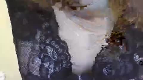 Snapshot of sirensonnett822 chatting on 21, 1, 2025 Siren online show from 21, 1, 2025