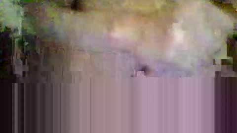 sisinyedz0000 online show from 4, 2, 2026