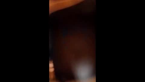 Snapshot of sissybottomcock chatting on 4, 12, 2025 sissybottomcock online show from 4, 12, 2025