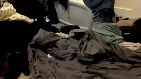 Snapshot of sissykora chatting on 14, 10, 2025 Kora online show from 14, 10, 2025