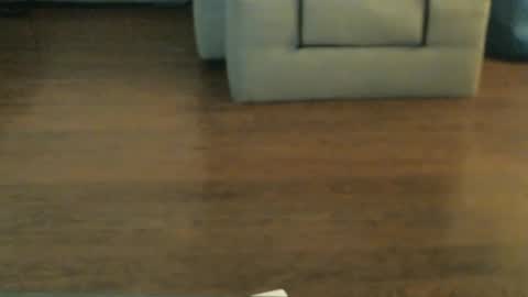 Snapshot of sissyslut0105 chatting on 26, 9, 2025 sissyslut0105 online show from 26, 9, 2025