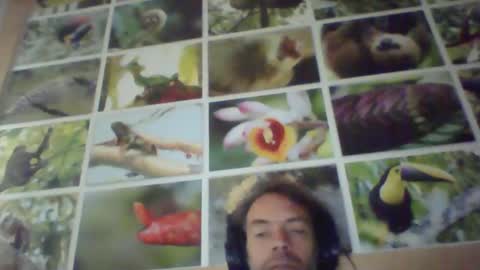 Snapshot of sji123 chatting on 22, 2, 2025 sji123 online show from 22, 2, 2025