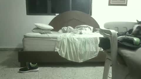 Snapshot of skanky_little_dolls chatting on 27, 11, 2025 skanky_little_dolls online show from 27, 11, 2025