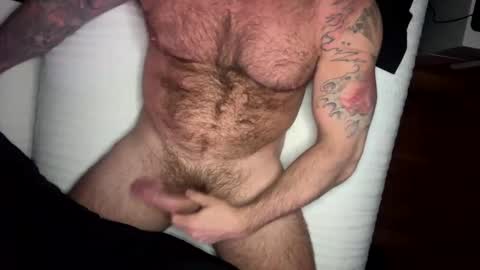 BEEF online show from 5, 3, 2025