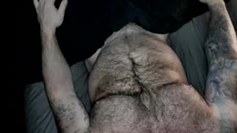 BEEF online show from 16, 3, 2026