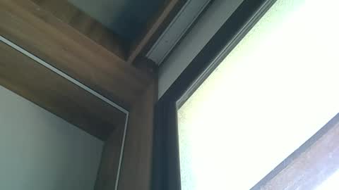 skinnykittencam online show from 5, 10, 2025