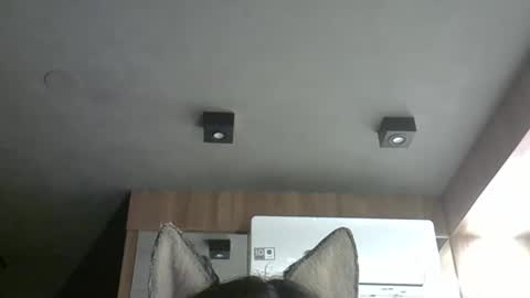 skinnykittencam online show from 24, 10, 2025